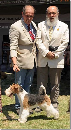 trofeo-antonio-trigo-al-mejor-terrier