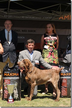 trofeo carlos collantes al mejor del grupo 7º